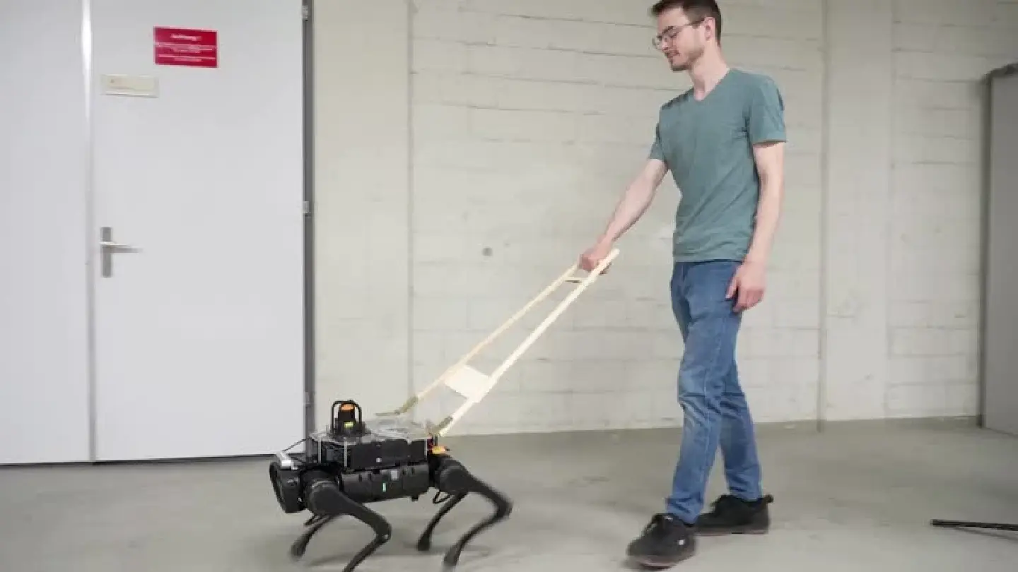 Could robots replace guide dogs for the blind? Could robots replace guide dogs for the blind?