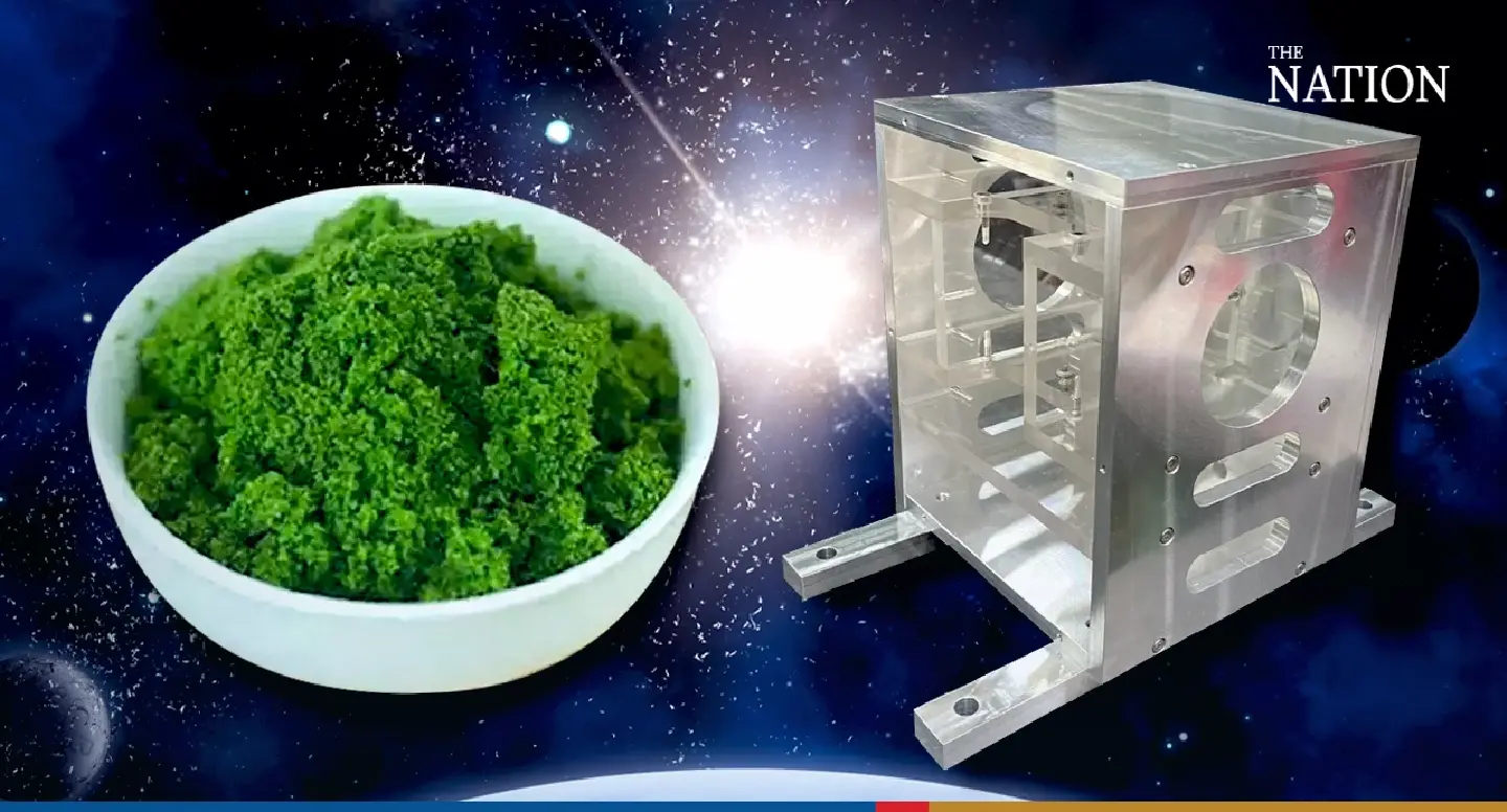 Can duckweeds be raised in space? Thailand investigates Can duckweeds be raised in space? Thailand investigates