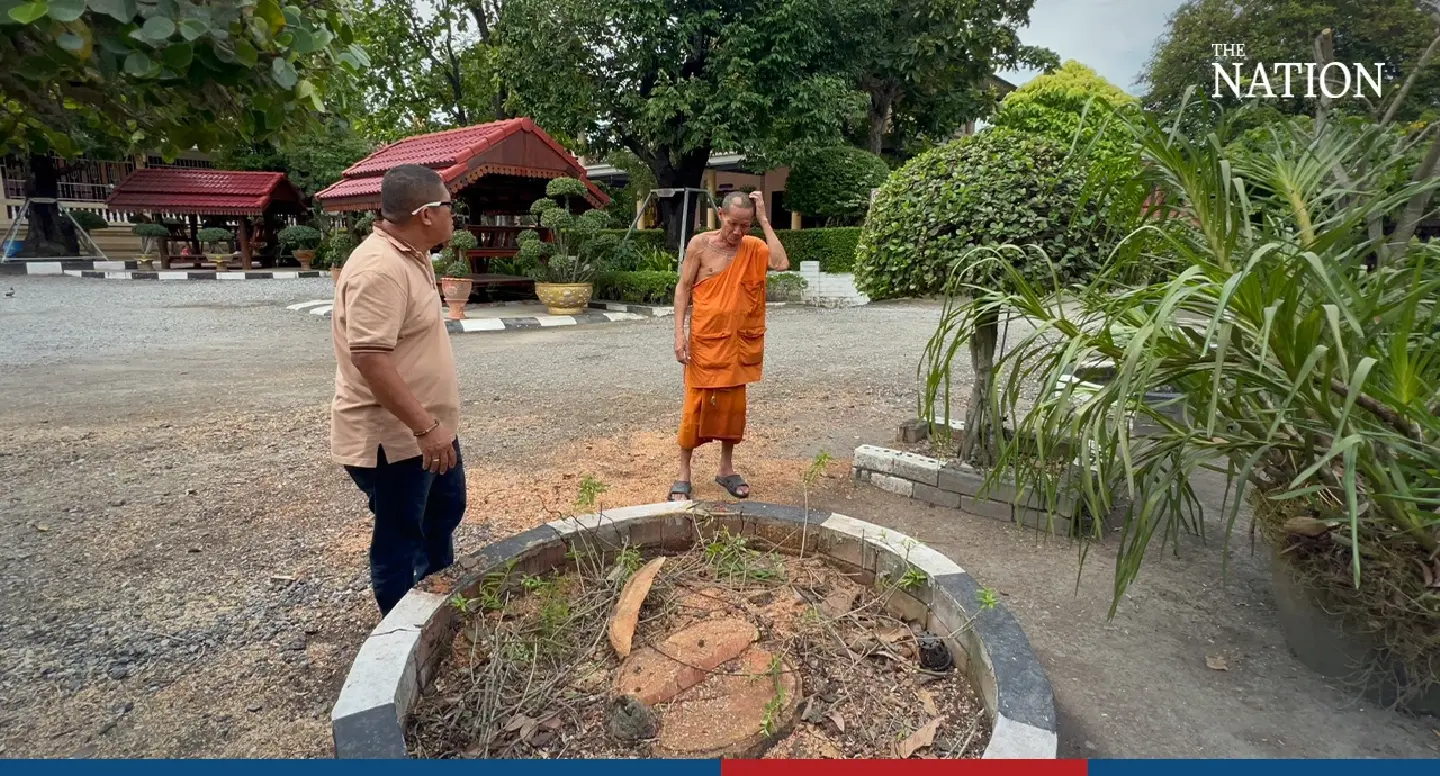 Emerald Buddha statue found in mango tree trunk in Chonburi temple Emerald Buddha statue found in mango tree trunk in Chonburi temple