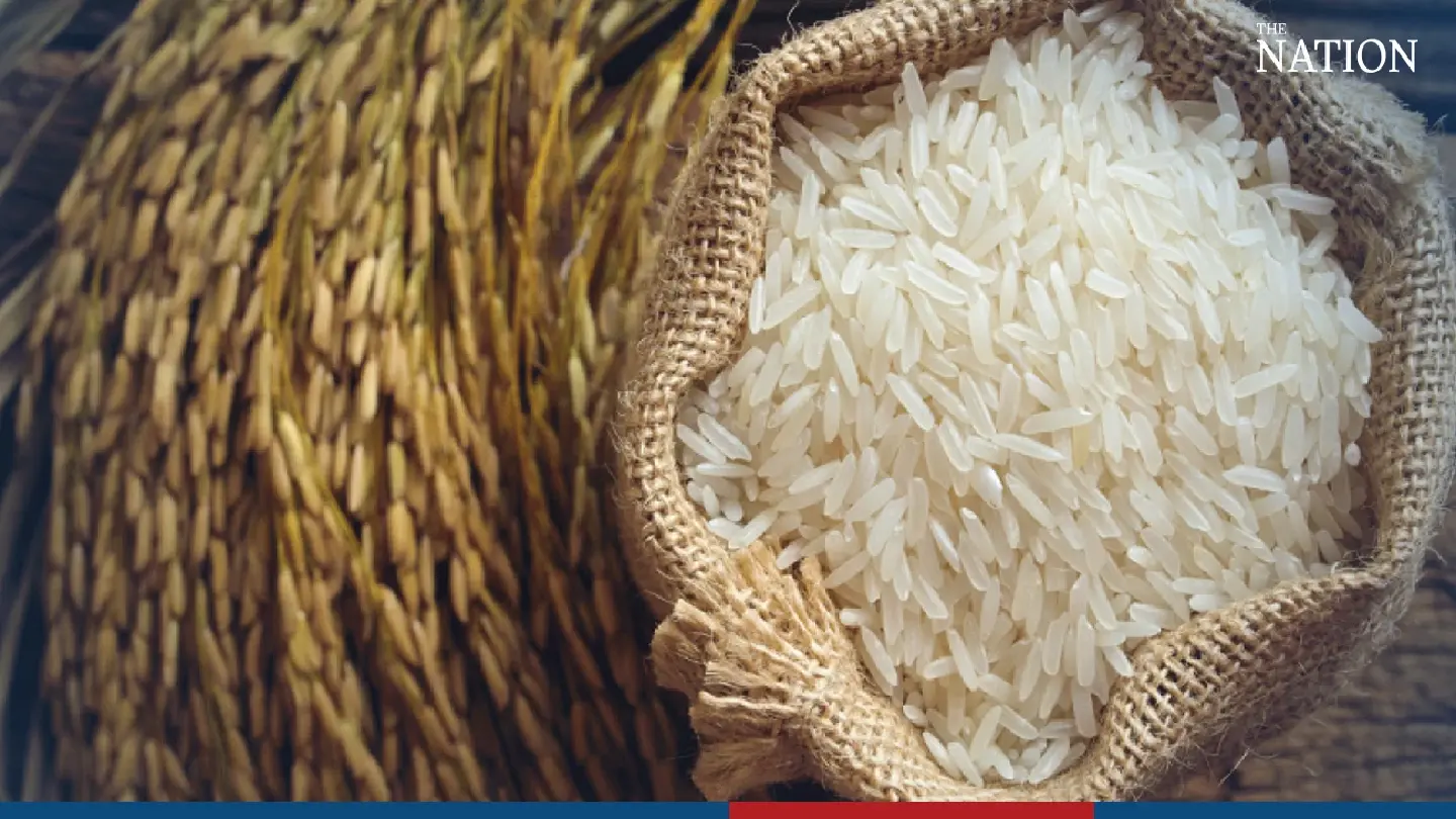 Rice exports expected to be on track as harvest approaches