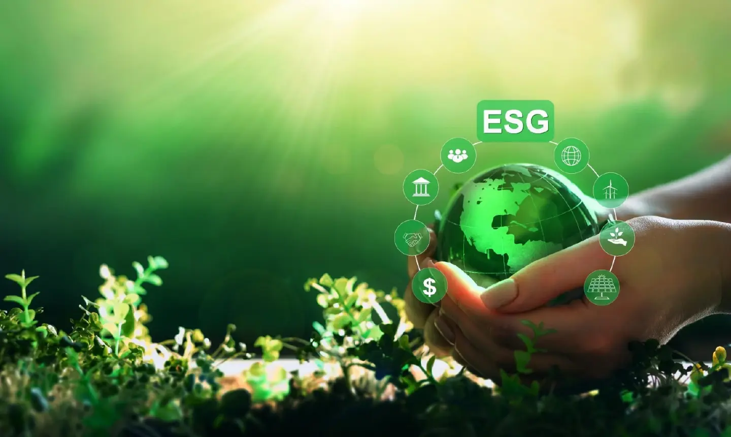 ISSB and financial reporting standards related to sustainability disclosure ISSB and financial reporting standards related to sustainability disclosure