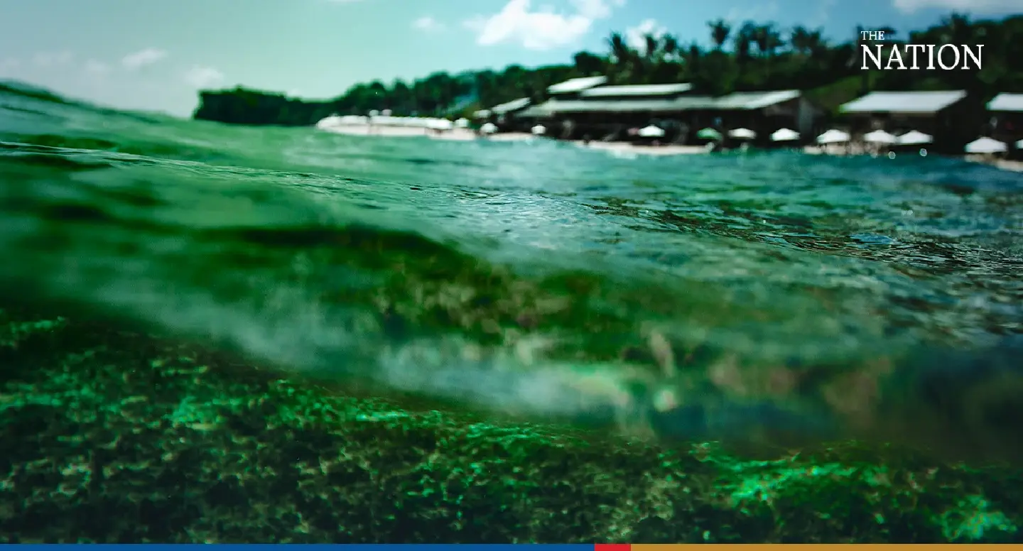 Plankton blooms in the Gulf of Thailand signal bad pollution, warn experts