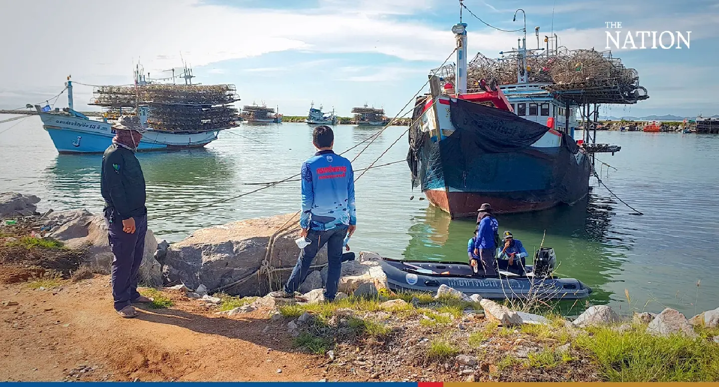 Bloated carcass of Bryde’s whale spotted off the coast of Phechaburi