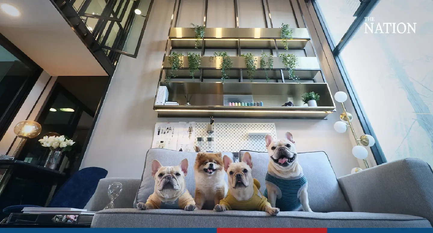 Origin focuses on developing new condos for pet lovers Origin focuses on developing new condos for pet lovers