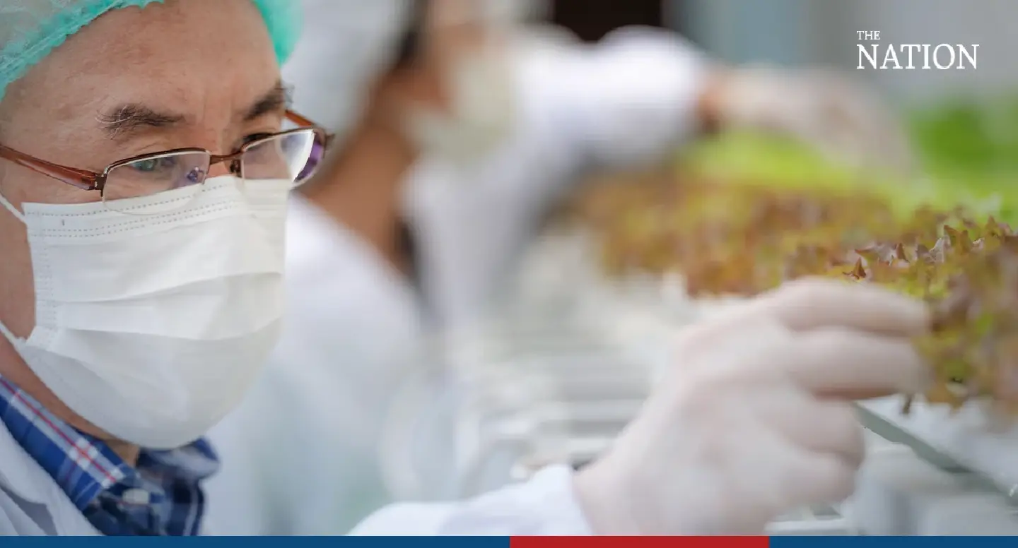 Singapore goes underground to ensure food security