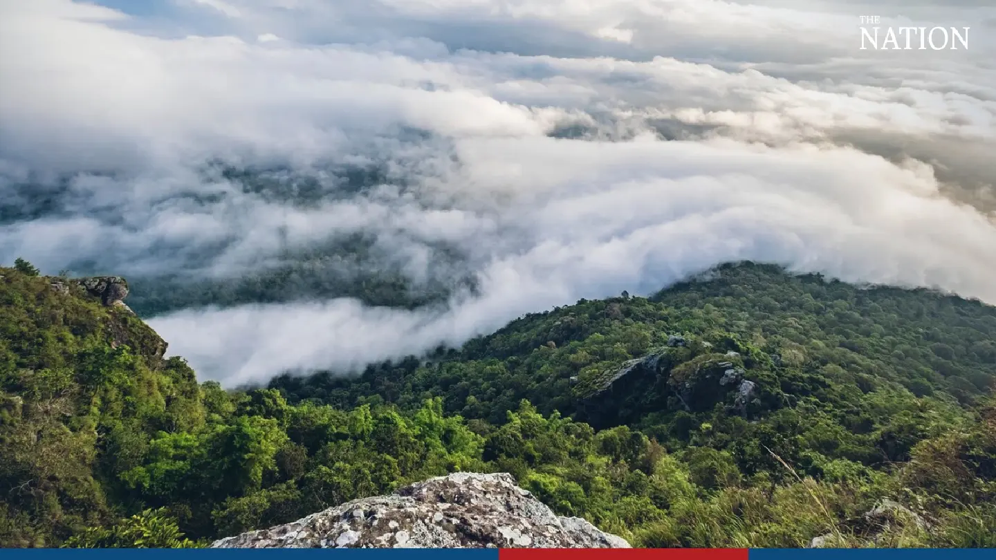 Temperatures rise with morning fog in the North, rain in the South Temperatures rise with morning fog in the North, rain in the South