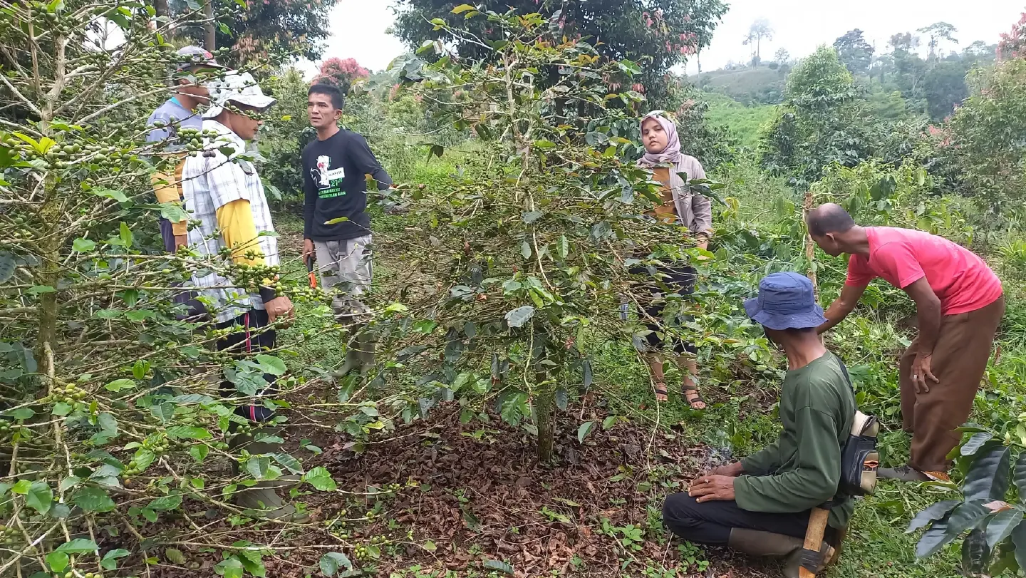 From traditional roots to urban trends: Southeast Asia's coffee renaissance From traditional roots to urban trends: Southeast Asia's coffee renaissance