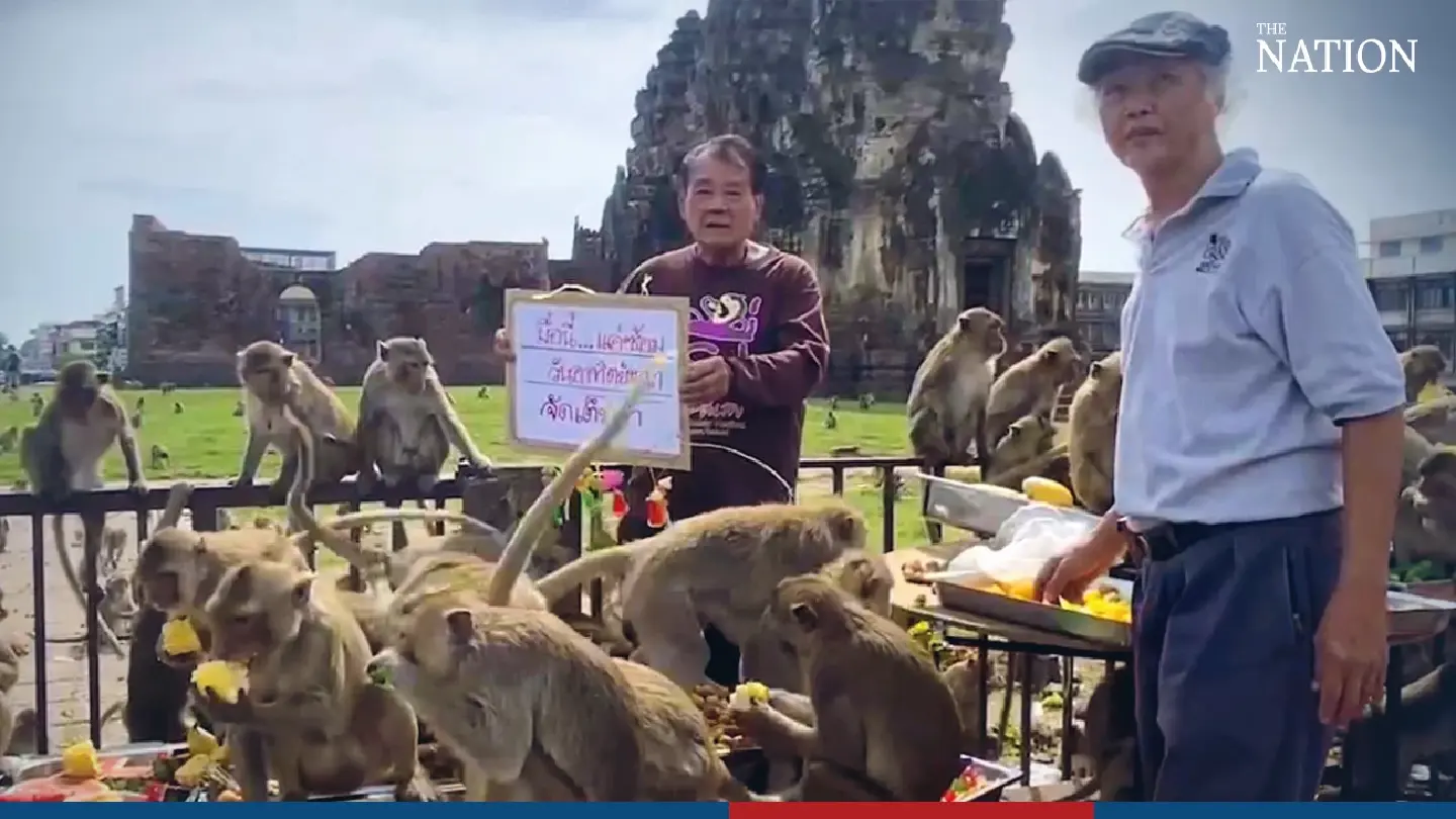 Lopburi prepares for annual Monkey Buffet Festival with vibrant rehearsal