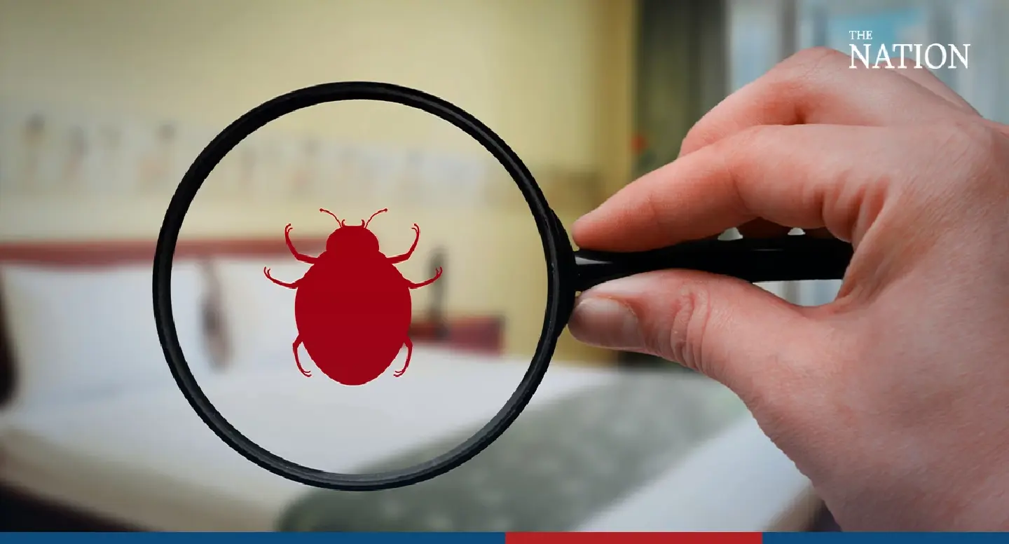 The bugs in our beds: insecticide purchases soar in Asia