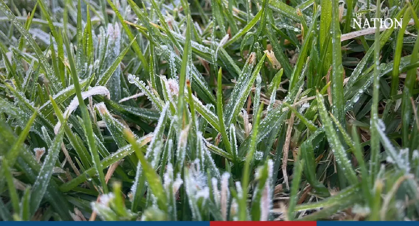 First frost of cold season whitens Thailand’s highest mountain First frost of cold season whitens Thailand’s highest mountain