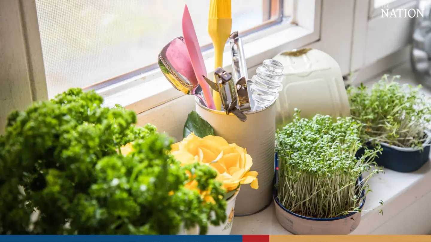The best ways to help herbs keep their aroma and nutrients