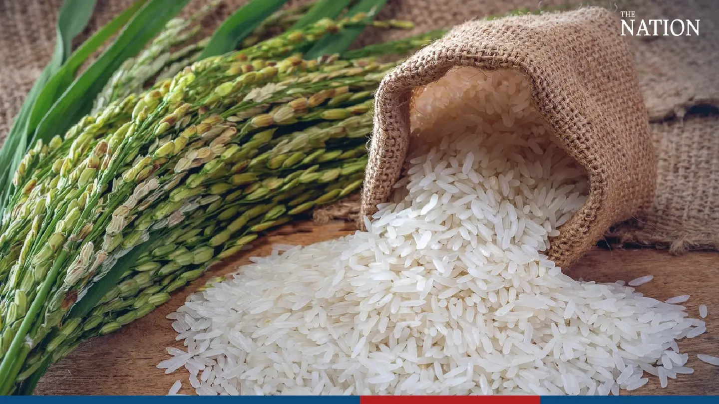 Price of Thai rice reaches 17-year high Price of Thai rice reaches 17-year high