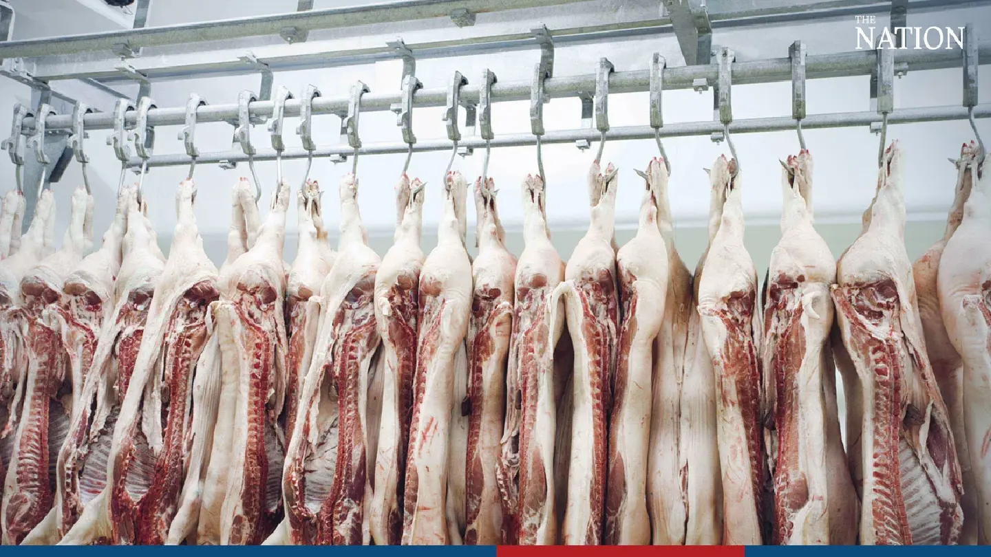 8 accused firms sold nearly THB1 bn worth of smuggled frozen pork: DSI 8 accused firms sold nearly THB1 bn worth of smuggled frozen pork: DSI