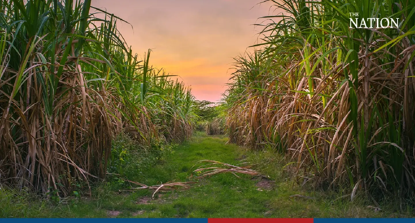 Govt task force to look into grievances of sugar industry stakeholders