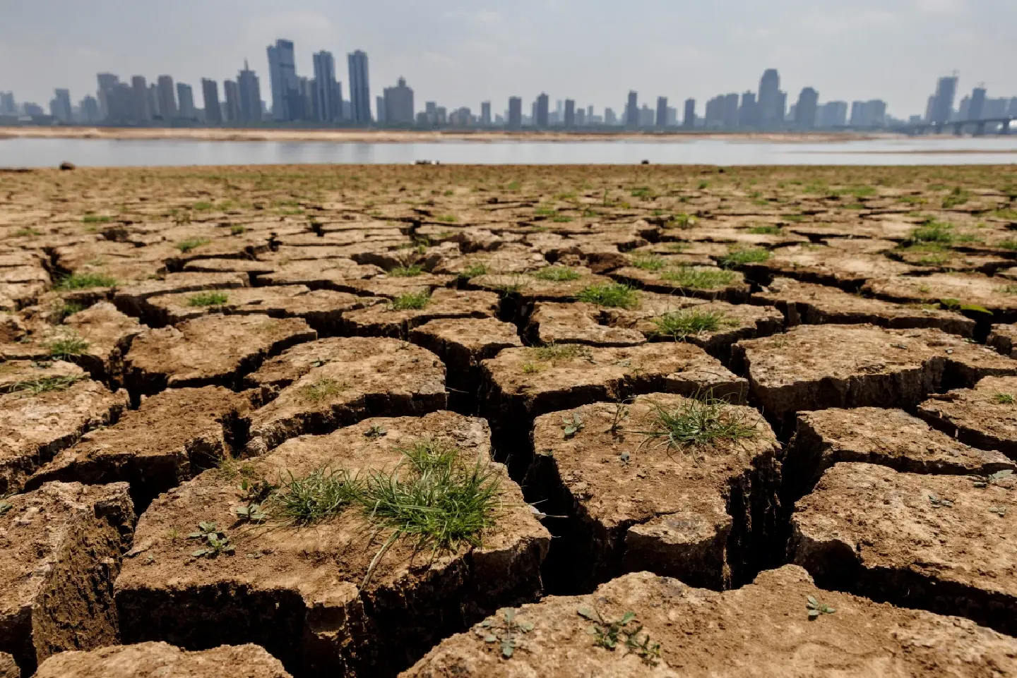 This year 'virtually certain' to be warmest in 125,000 years: scientists