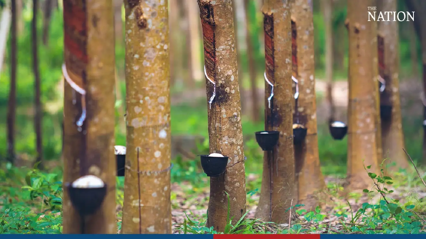 Agriculture Ministry introduces ‘tree deeds’ scheme for farmers to secure loans