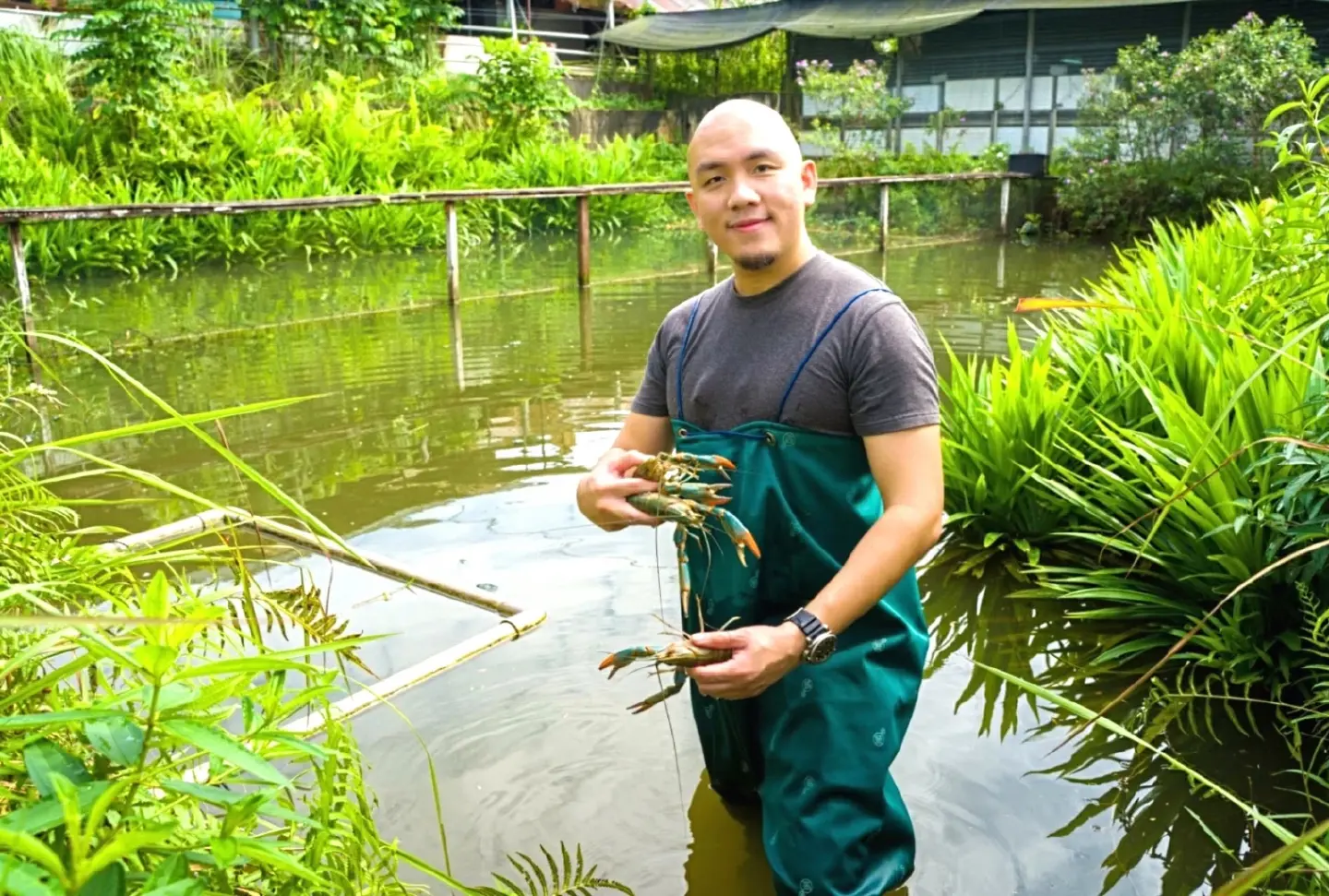 Unlocking nature's potential by transforming crawfish shells into eco-friendly solutions