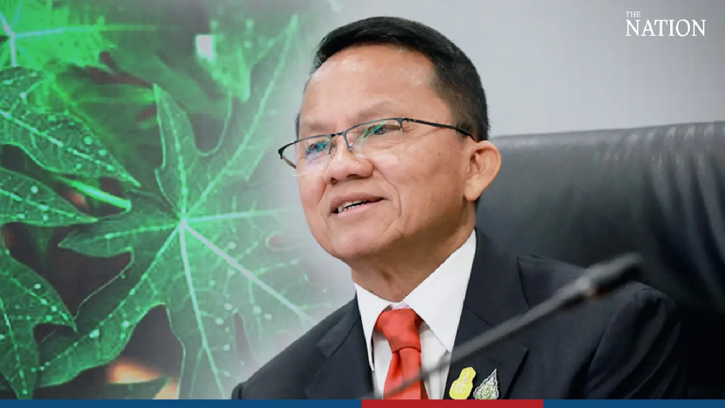 Somsak to seek research on efficacy of papaya leaves in curing cancer