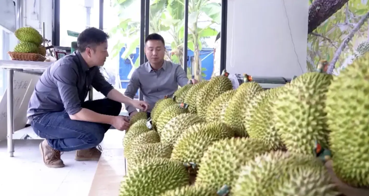 Vietnam exports most of its durians to Chinese market