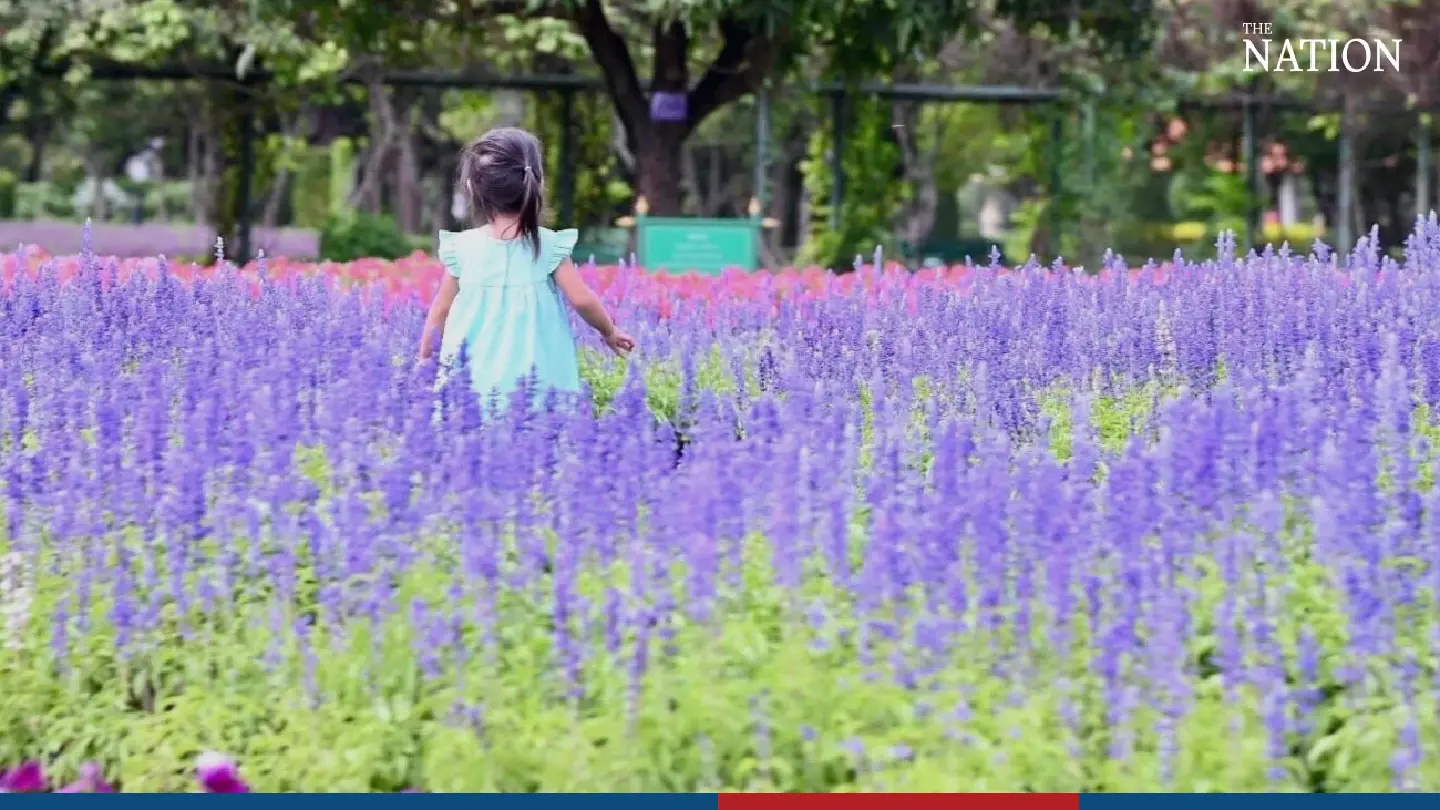 Suan Luang Rama IX Park Fair offers an opportunity to see the beauty of nature Suan Luang Rama IX Park Fair offers an opportunity to see the beauty of nature