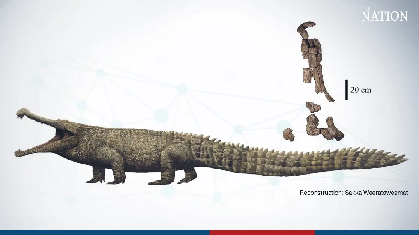 Fossils of giant reptile declared national treasure
