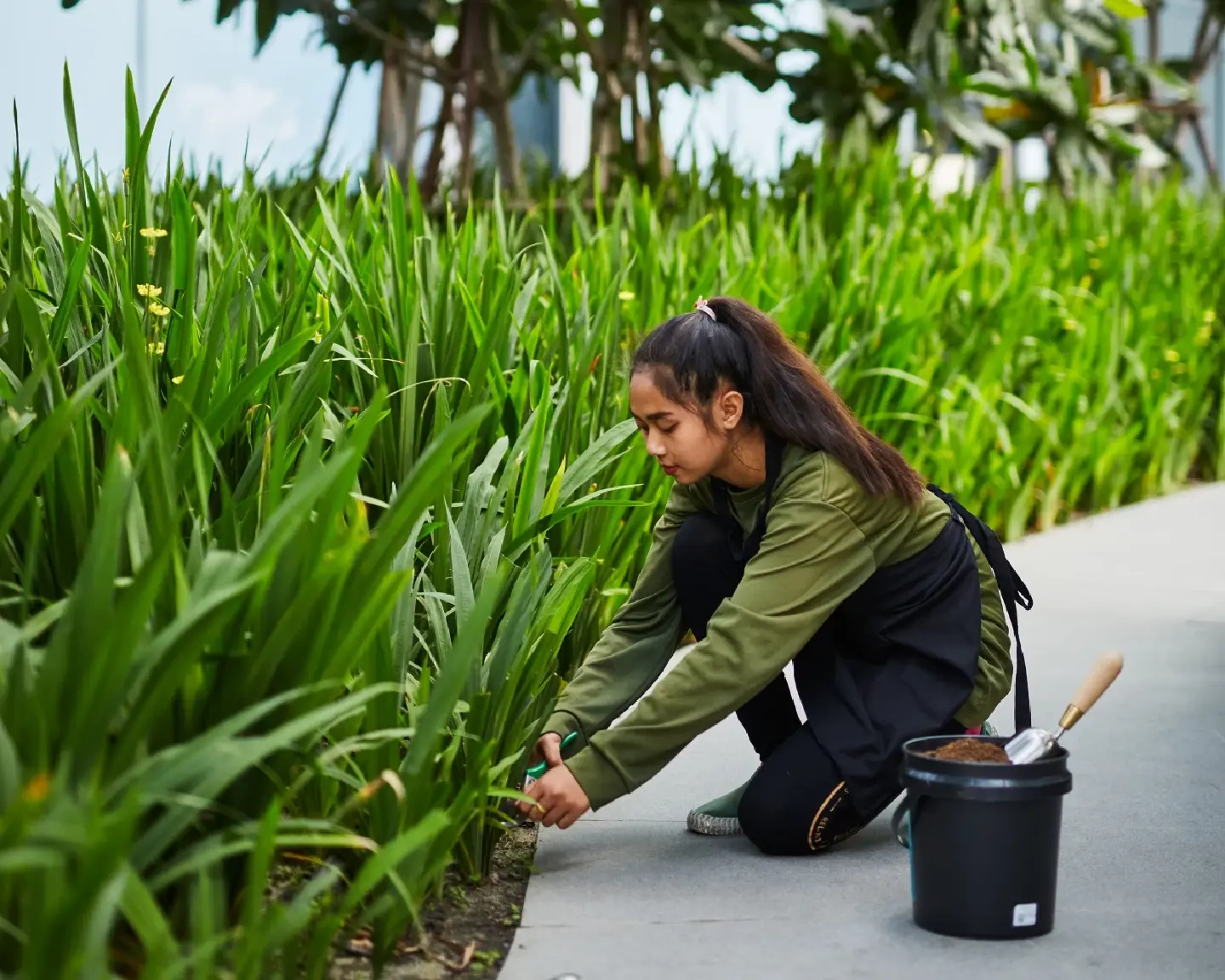 Nutrient-rich plant vitamins from food waste for the Royal Development Projects
