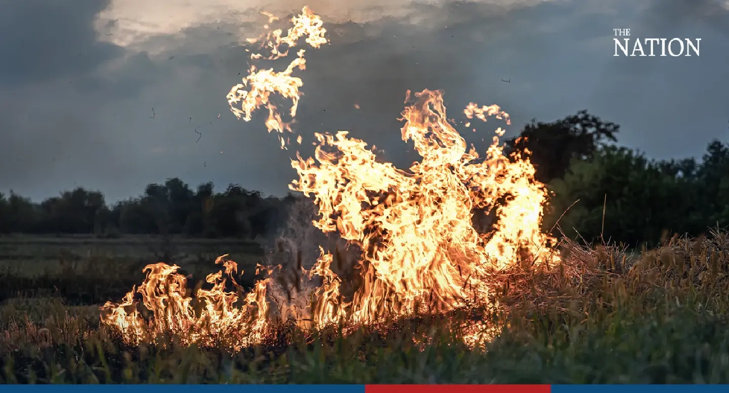 Ministries to clamp down on crop burning as pollution levels rise Ministries to clamp down on crop burning as pollution levels rise