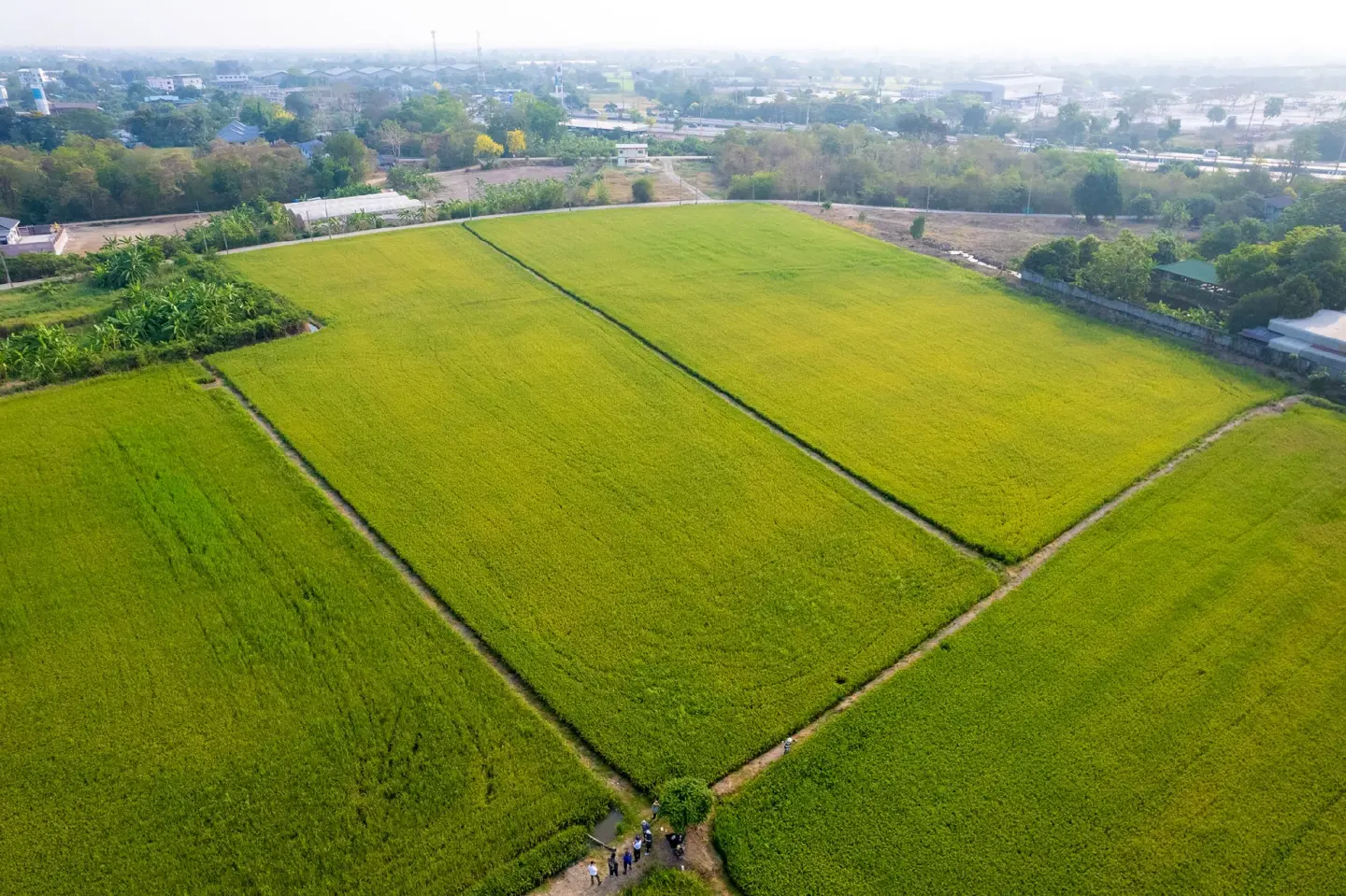Cut emissions, safeguard environment through 'Returning Soil to the Land' policy