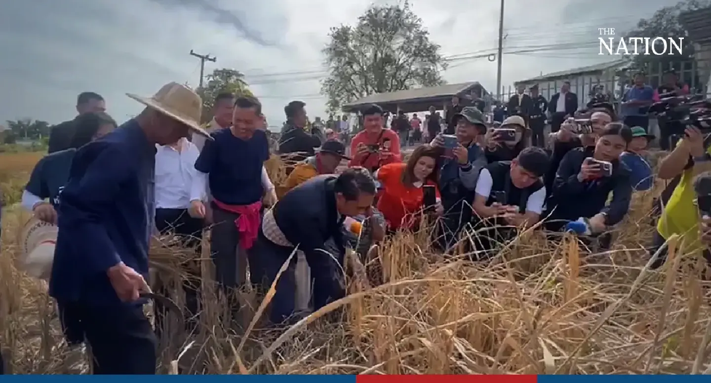 Sutin vows to allocate unused military land for use by farmers
