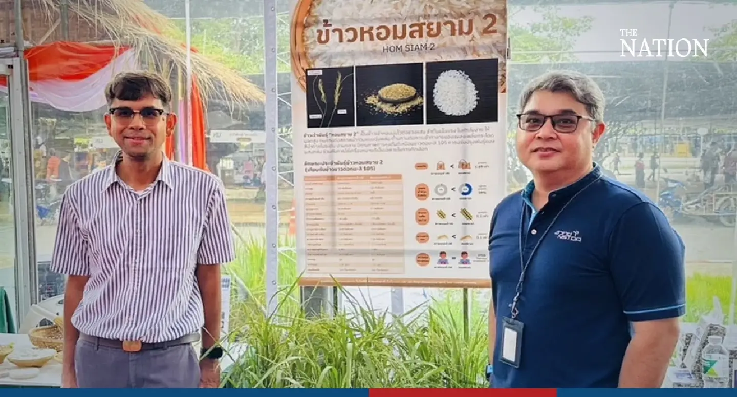 Kaset Fair showcases a new environmentally friendly rice breed