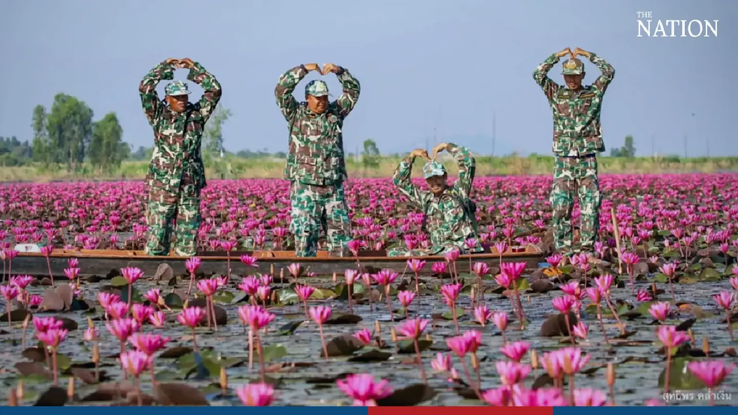 Nakhon Sawan wildlife sanctuary goes pink for winter Nakhon Sawan wildlife sanctuary goes pink for winter