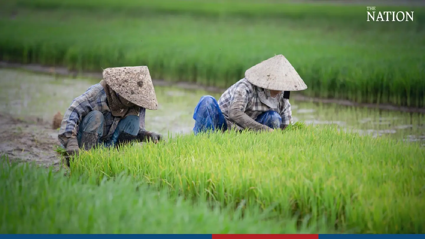 BAAC promises additional support for indebted Thai farmers BAAC promises additional support for indebted Thai farmers