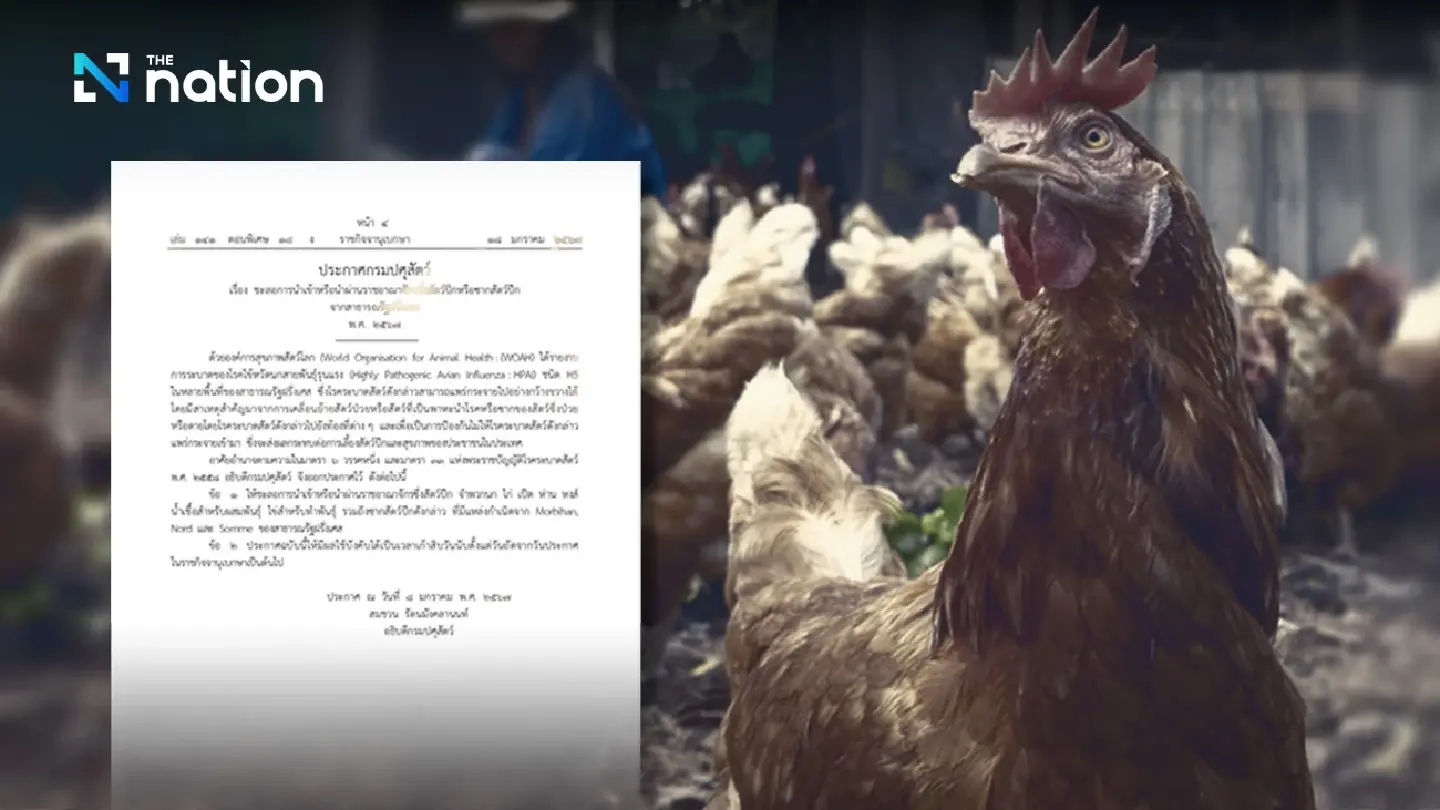 Amid avian influenza fears, Thailand halts poultry imports from Belgium, France Amid avian influenza fears, Thailand halts poultry imports from Belgium, France