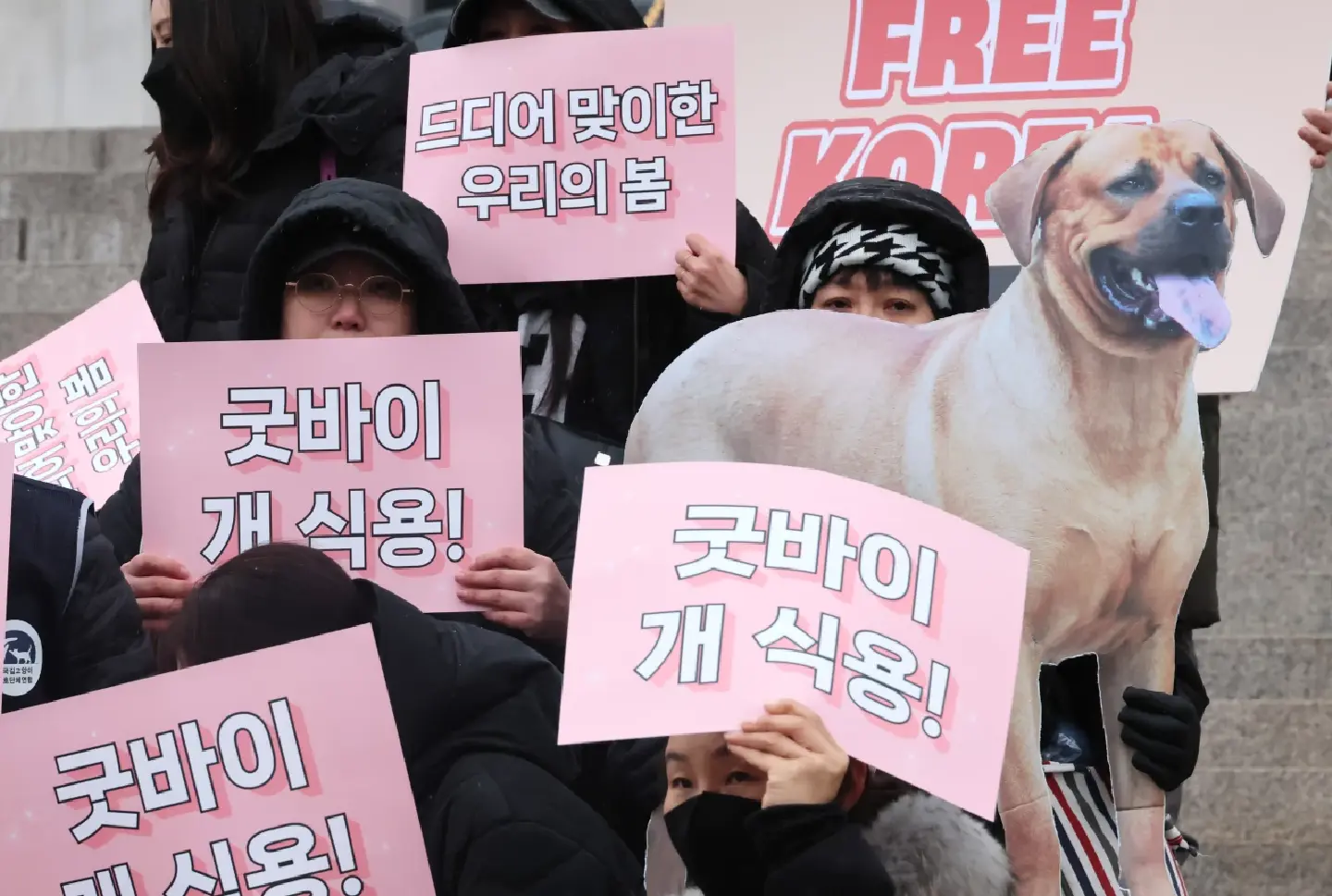South Korea's National Assembly approves a ban on dog meat consumption