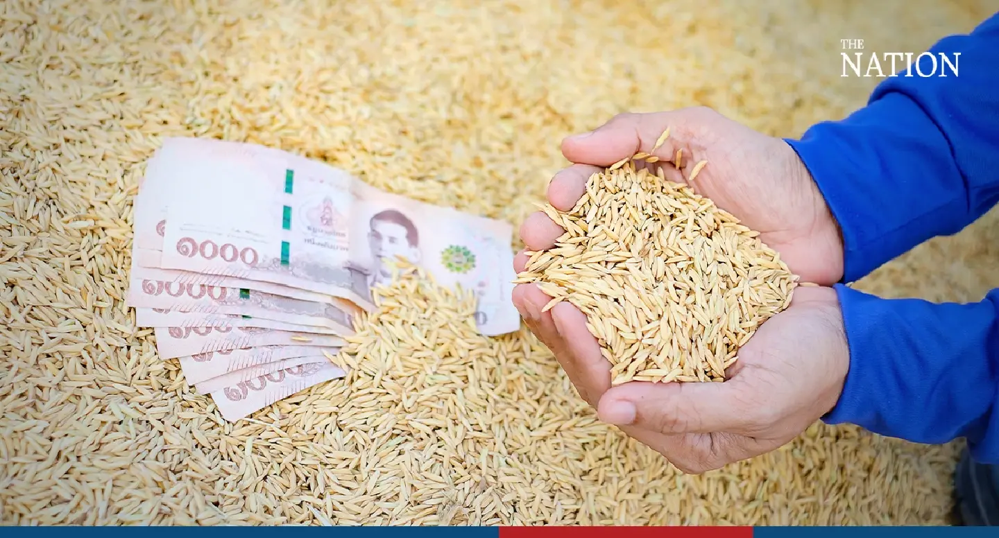 Thailand set to surpass 2023 rice export target as November figures surge Thailand set to surpass 2023 rice export target as November figures surge