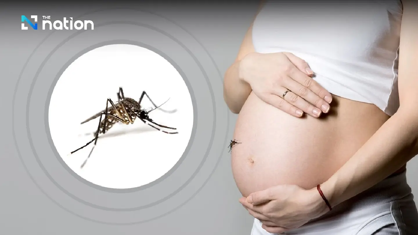 Doctor warns pregnant women to protect themselves from mosquito bites