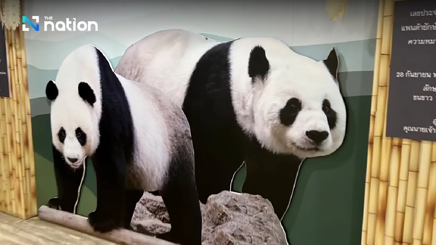 Chiang Mai all set to welcome new pandas, as PM raises ‘panda diplomacy’ with China