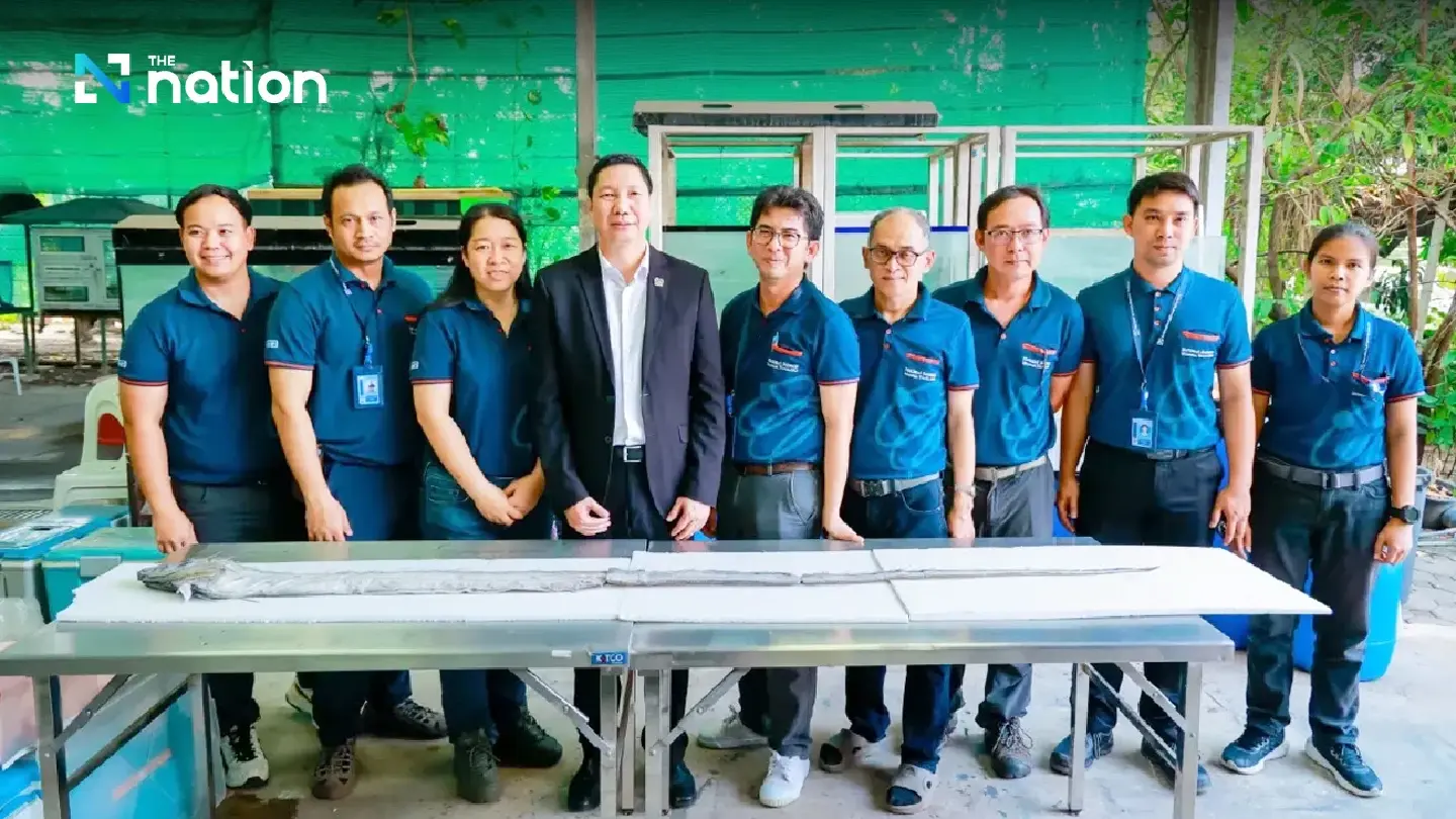 Museum upbeat as dead Oarfish offers opportunity to increase scientific knowledge