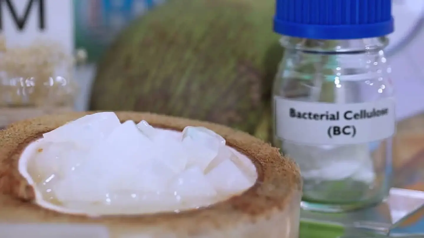 Coconut jelly waste to Billions in Raw material value