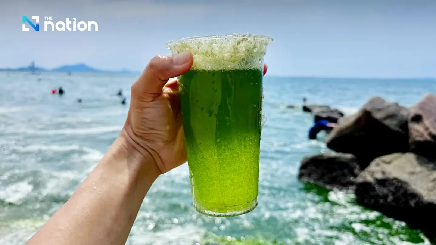 Plankton bloom makes sea at Bang Saen beach bright green despite lack of rain