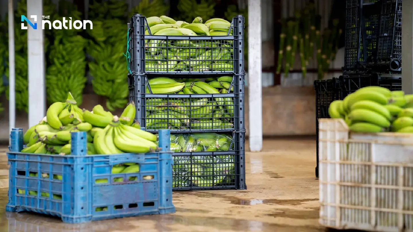 Thai exports of agricultural and agro-industrial products gain from FTAs