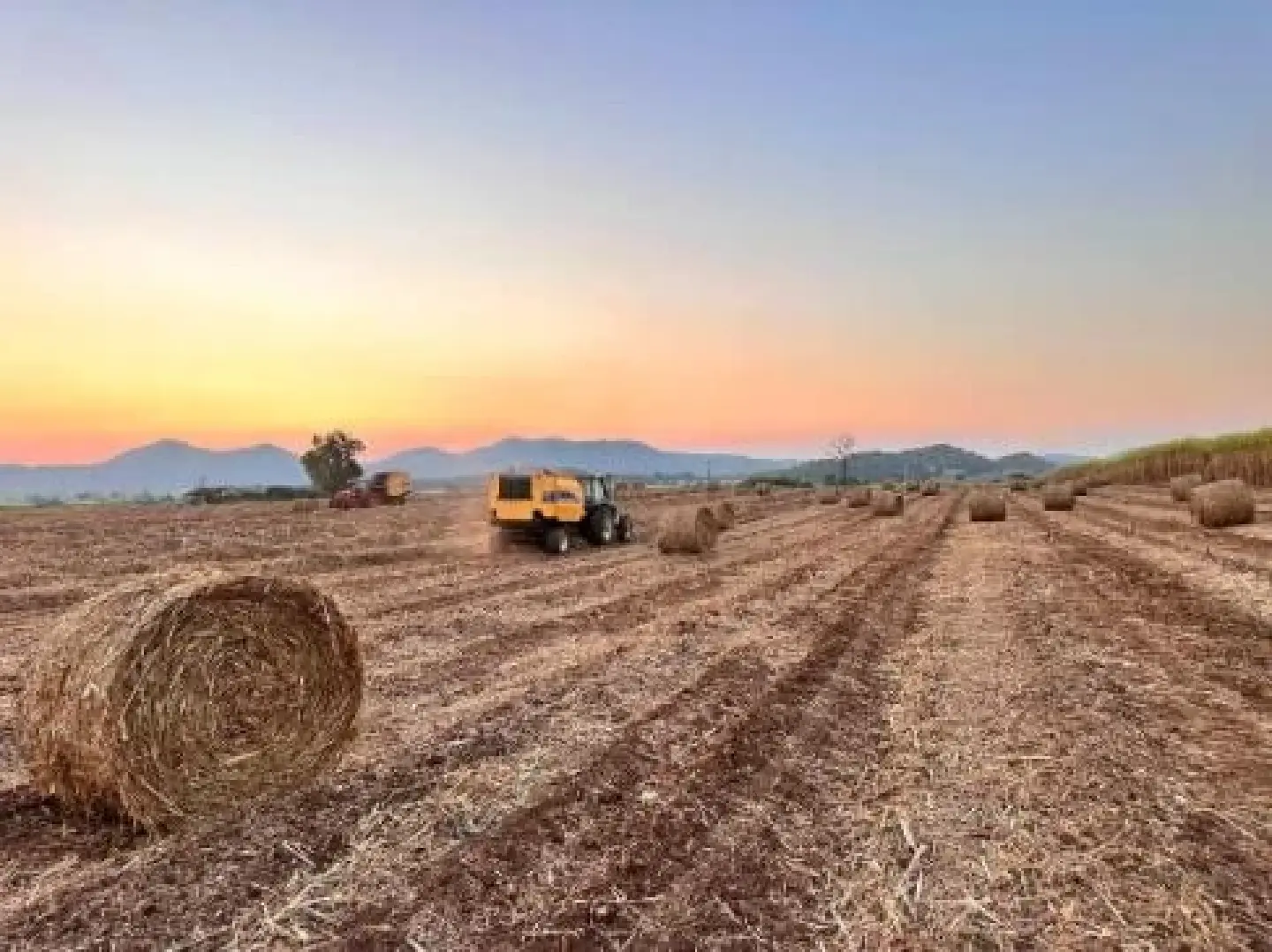 Enhances sugarcane leaf program for renewable energy boost