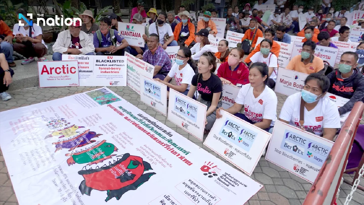 Thai berry pickers in Europe — a case of the poor getting poorer