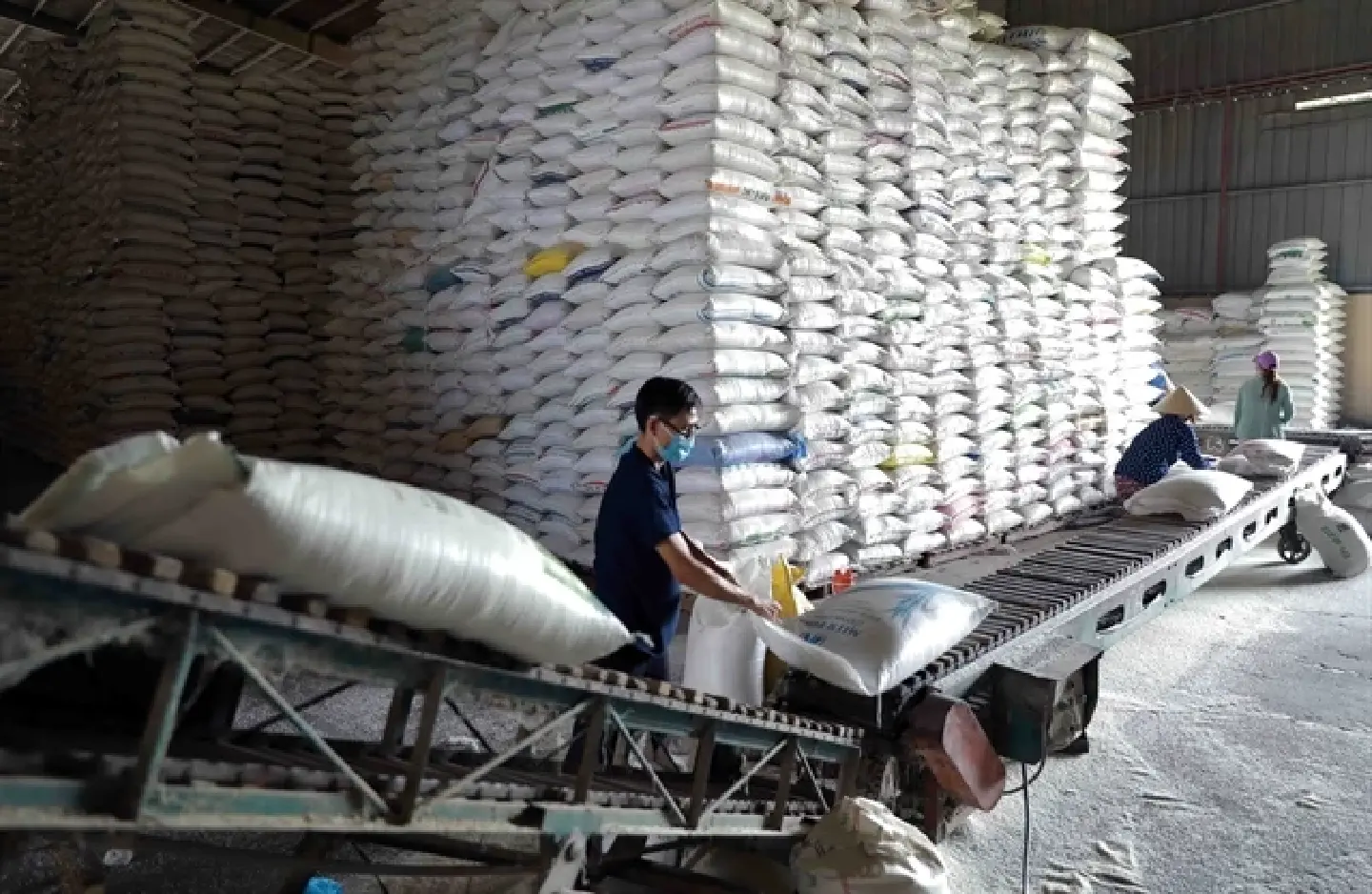 Vietnam's rice sector aims for a $5 billion export target