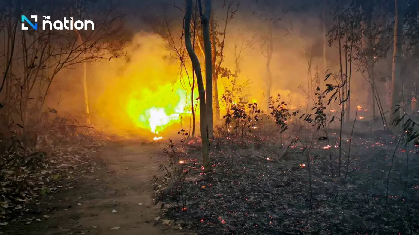 160,000 hectares of land in Thailand’s North face destruction in wildfires
