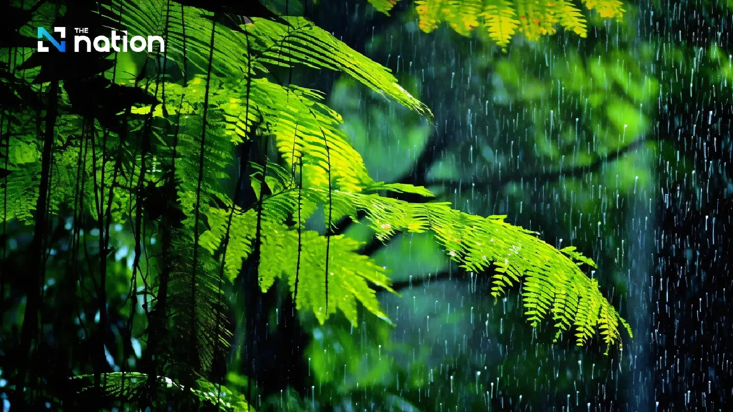 North, Northeast and South to see warmer weather and rain North, Northeast and South to see warmer weather and rain