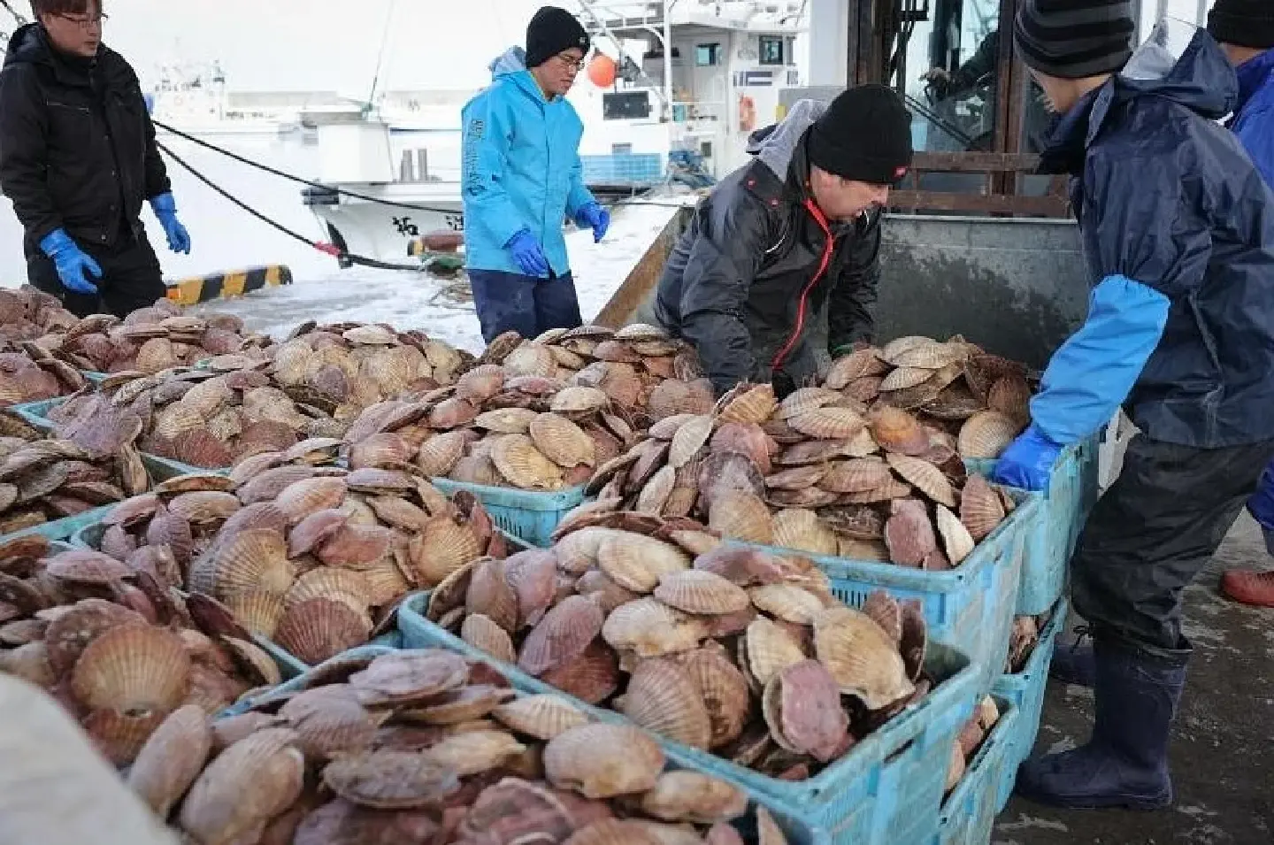 Hokkaido scallops safe to eat: Japan sellers go on charm offensive