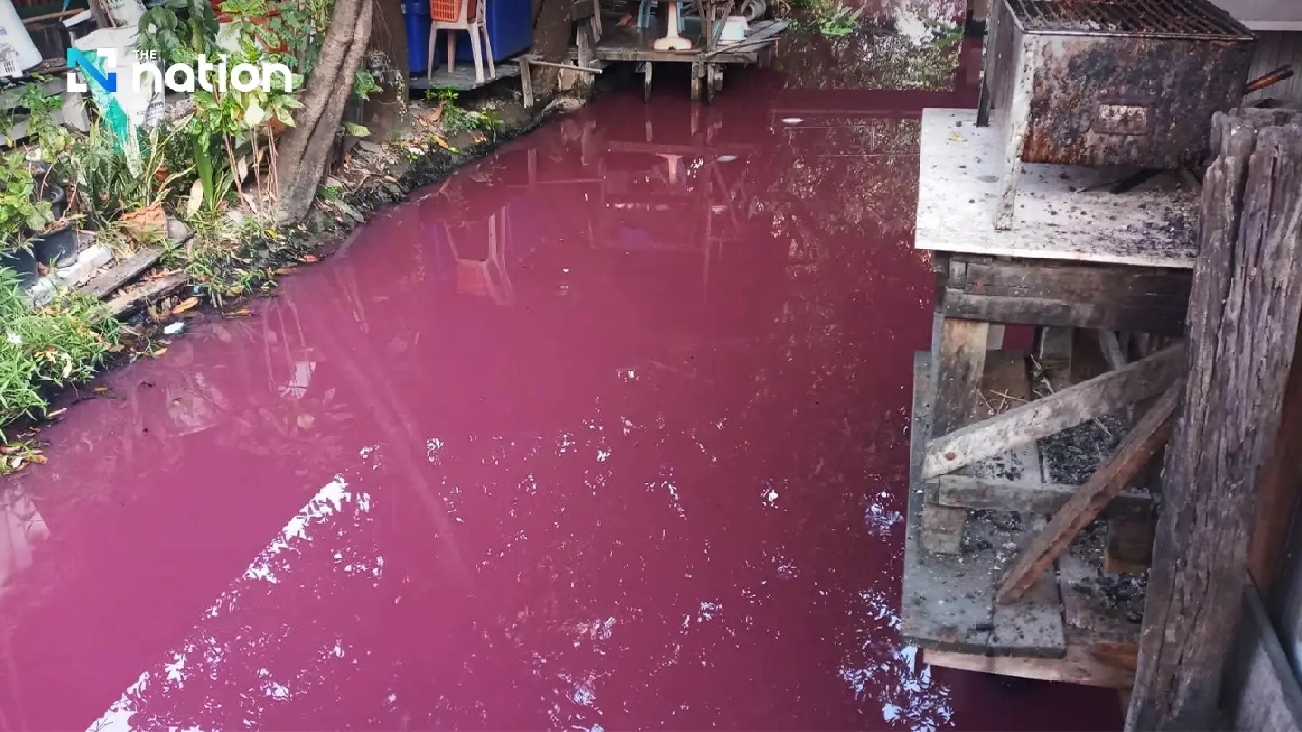 Germs in stagnant water likely cause of pink shade of Nonthaburi canal on Valentine’s day, say scientists