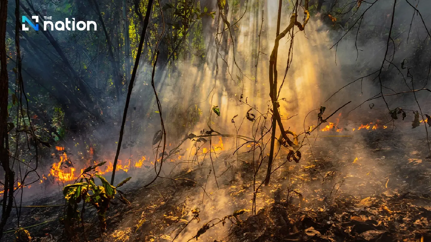 ‘Intense’ fires burn sensitive ecosystems, including parks in Mae Hong Son province