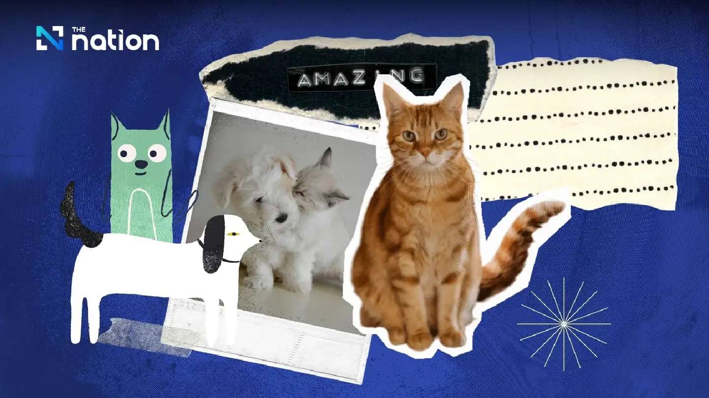 People’s love for four-legged friends turns into big money for pet products industry